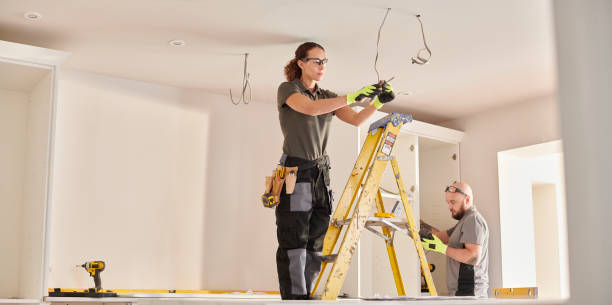 Best Electrical Repair Services  in Valmeyer, IL