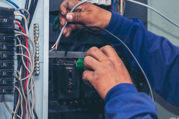 Best Electrical Repair Services  in Valmeyer, IL