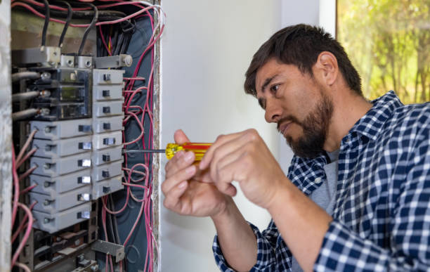Best Ceiling Fan Installation Electrician  in Valmeyer, IL